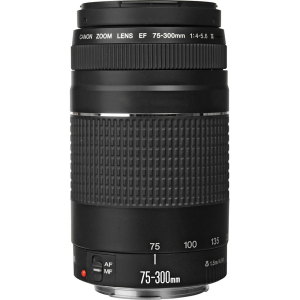 Canon EF 75-300mm f/4-5.6 III - Likenew 95% Canon EF 75-300mm f/4-5.6 III - Likenew 95%