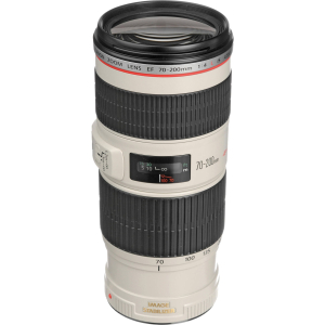 Canon EF 70-200mm f/4L IS USM - Likenew 97% Canon EF 70-200mm f/4L IS USM - Likenew 97%