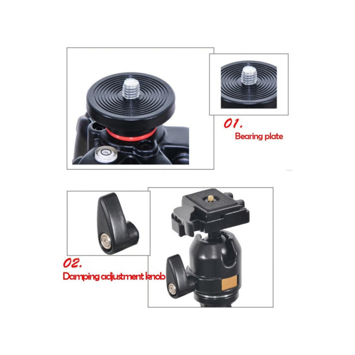 Chân máy ảnh chuyên nghiệp Beike BK-QZ304 - Chính hãng Chân máy ảnh chuyên nghiệp Beike BK-QZ304 - Chính hãng