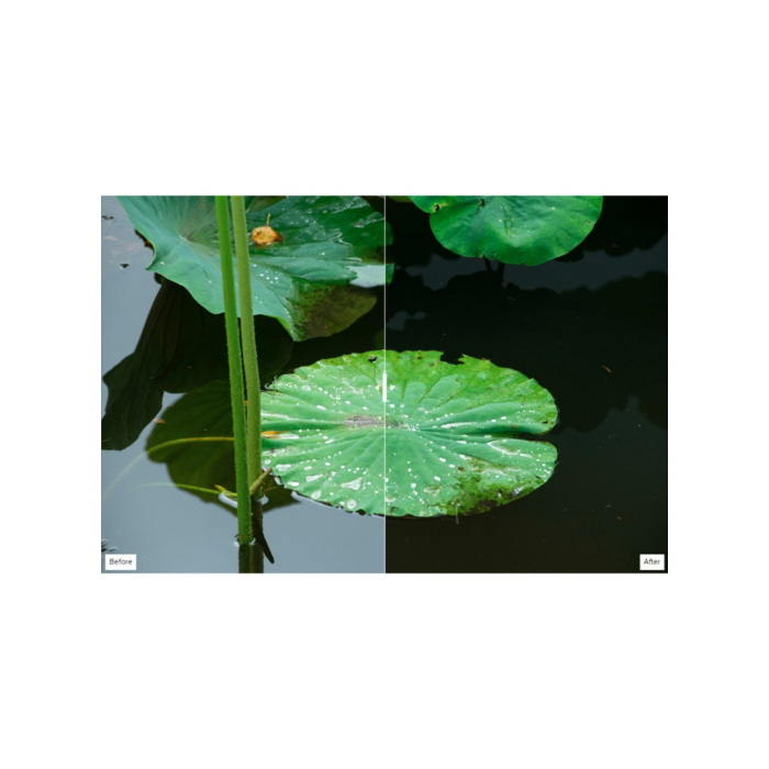 Filter Hoya UX II CIR-PL 77mm - Chính hãng