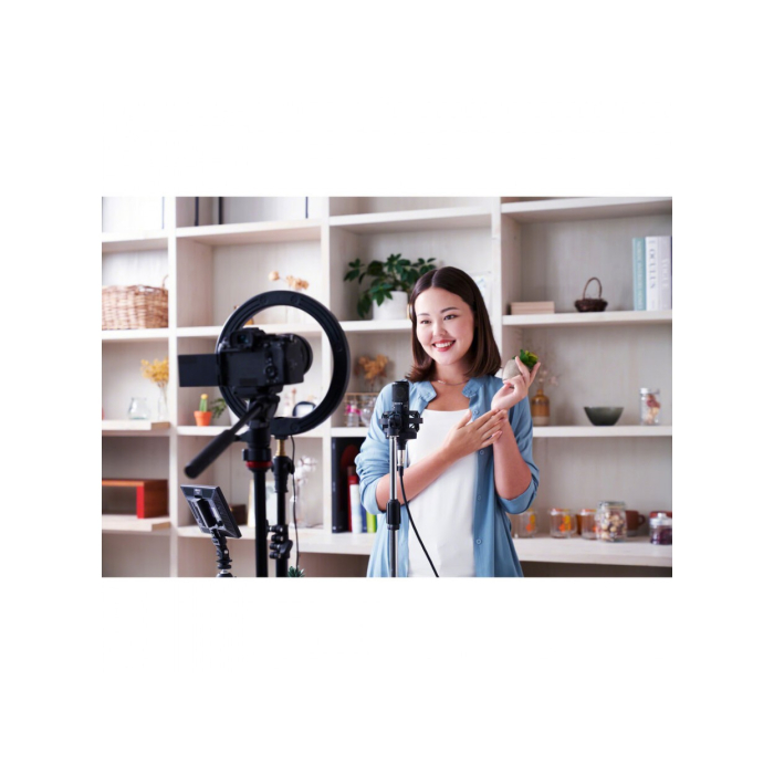 Microphone thu âm chuyên dụng Sony C-80 - Chính hãng