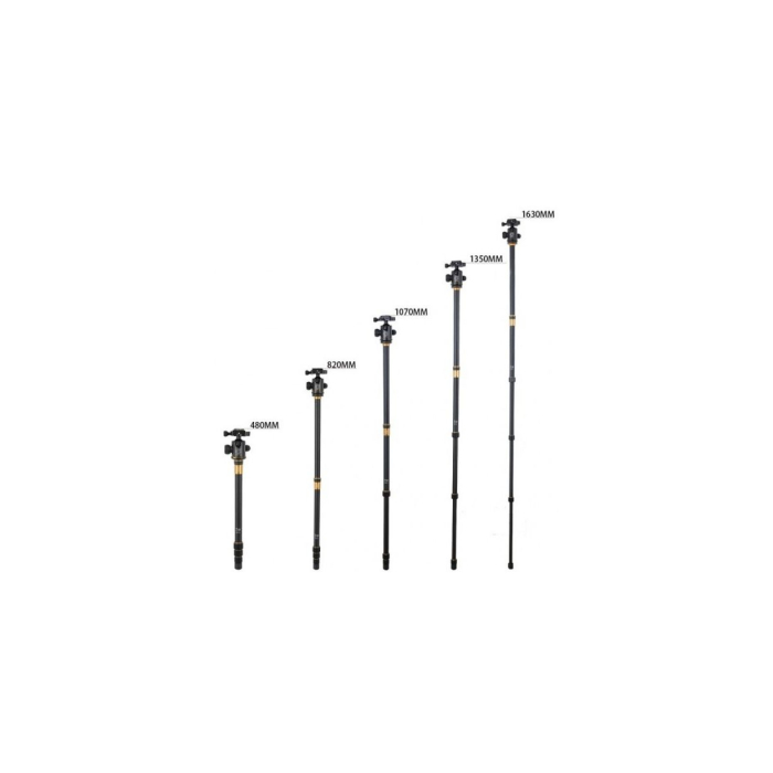 Tripod Beike Professional Q-999H - Chính hãng Tripod Beike Professional Q-999H - Chính hãng